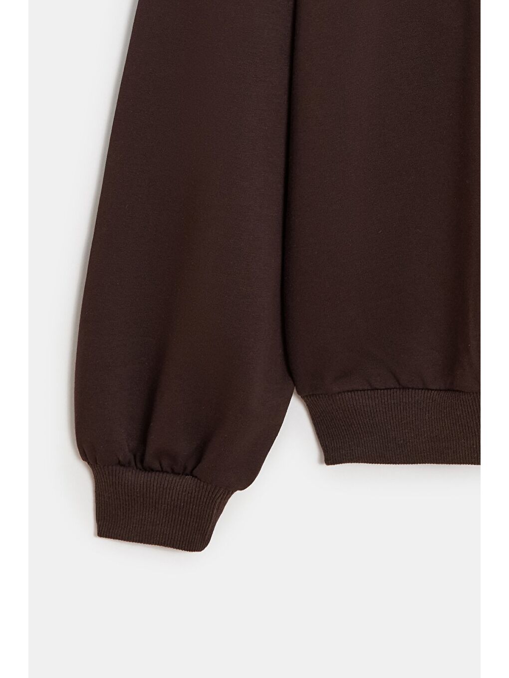 Acı Kahverengi Kadın Oversize Kapüşonlu Basic Hoodie Sweatshirt-2