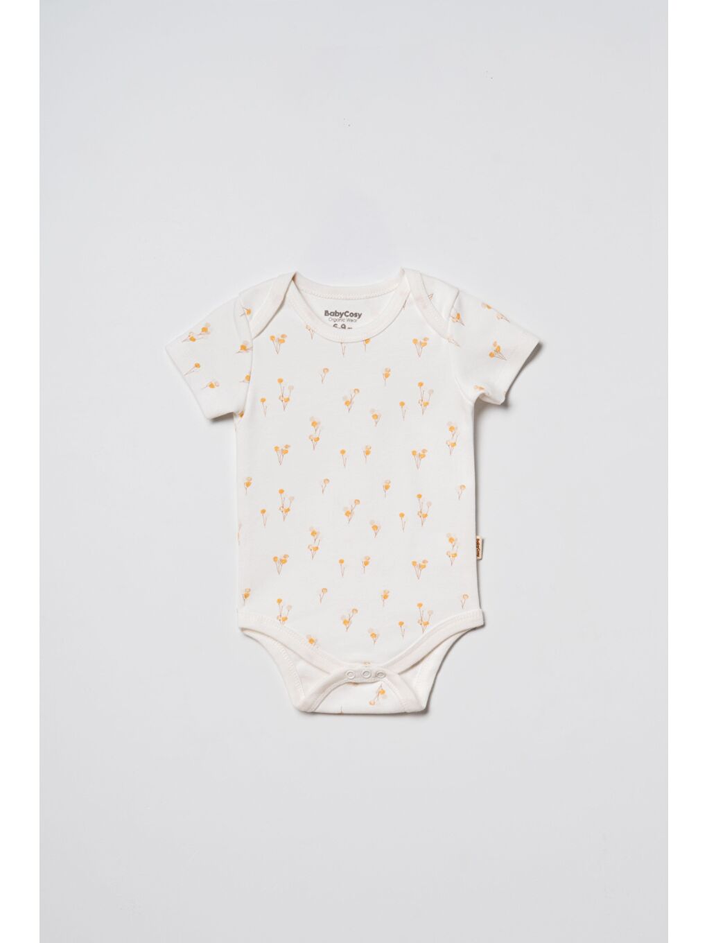 Karışık Unisex Bebek Pamuklu Ekru 2'Li Kısa Kollu Body Seti - Desenli Ve Ayıcık Baskılı-7