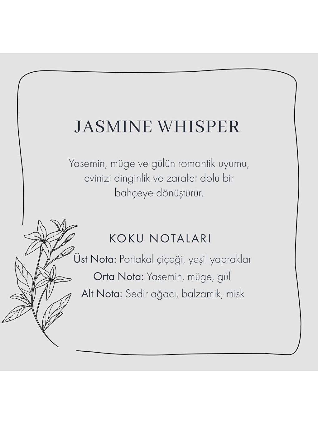 Jasmine Whisper Oda Kokusu Mavi (100 ml)-3