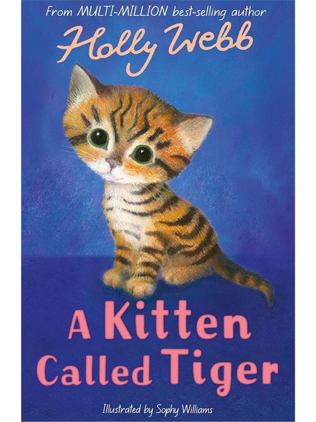 Holly Webb Animal Stories: A Kitten Called Tiger