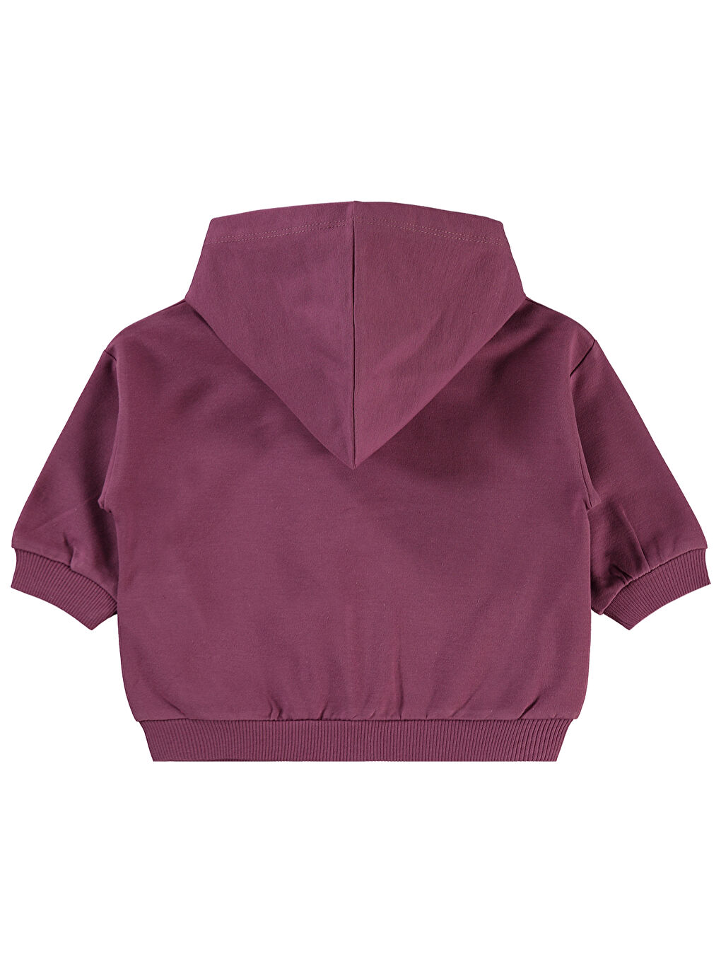 Pembe Baby Kız Bebek Kapüşonlu Hrıka 6-18 Ay Koyu Gül Kurusu-2