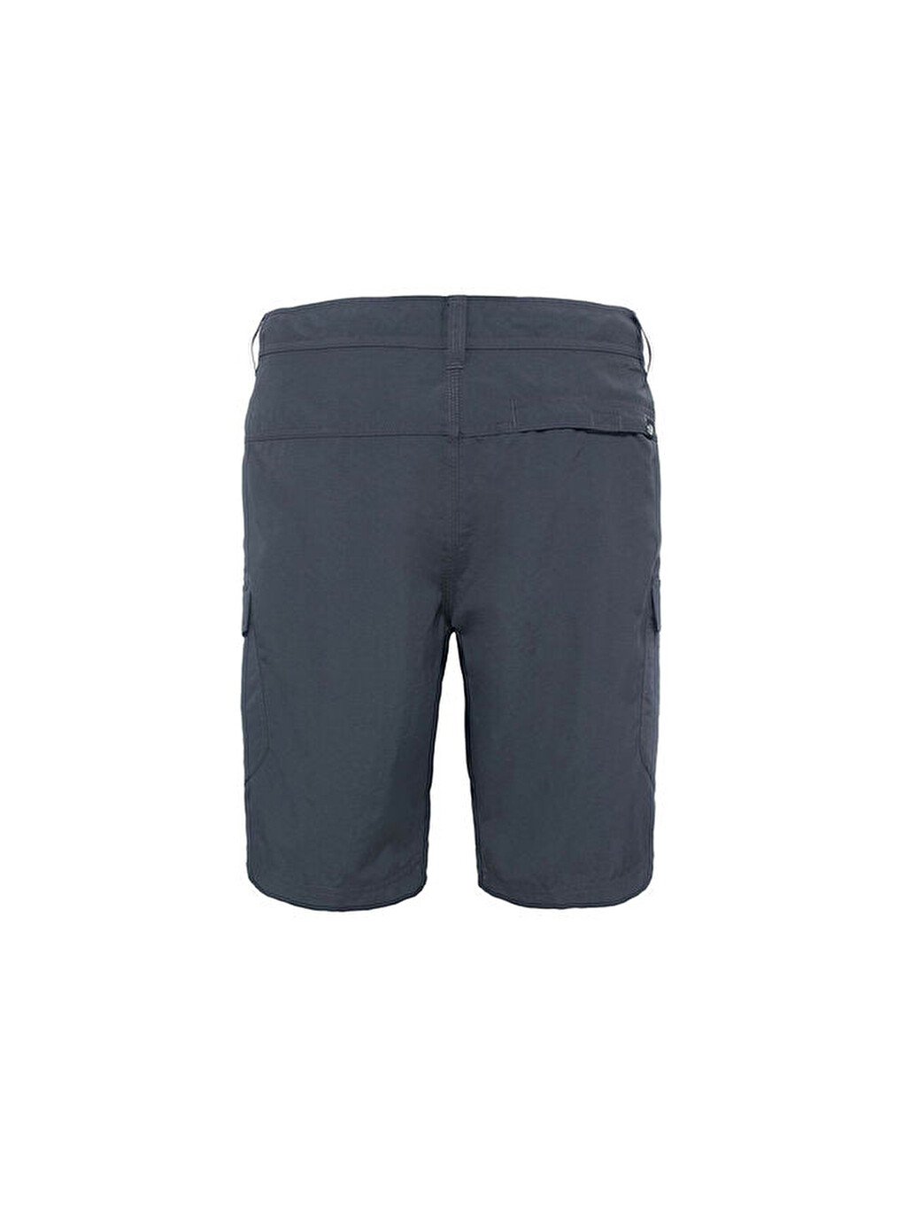 Gri Erkek Şortu T0cf720c5 M Horizon Cargo Shorts-1