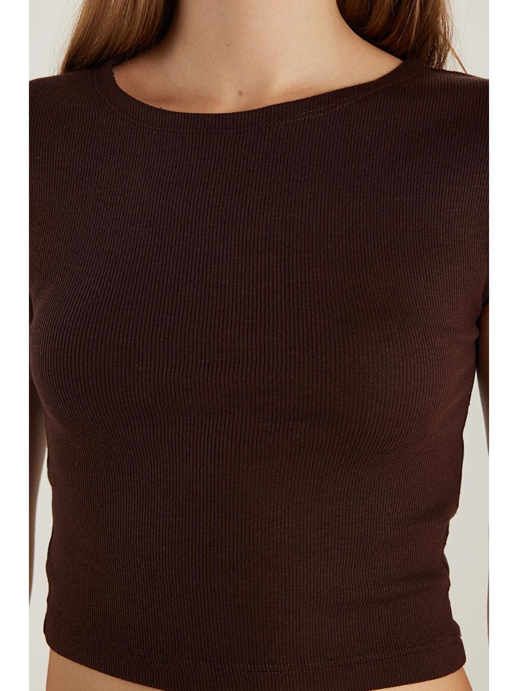 Kadın Modal Kumaş Slim Fit Dar Kesim Kısa Kollu Bisiklet Yaka Kahverengi Bluz-2