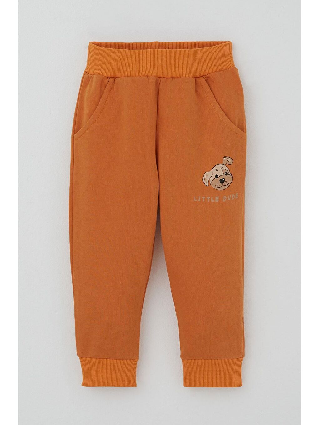 Ekru Erkek Bebek Eşofman Takımı Sevimli Köpekçik Baskılı Krem (6 Ay-2 Yaş)-2