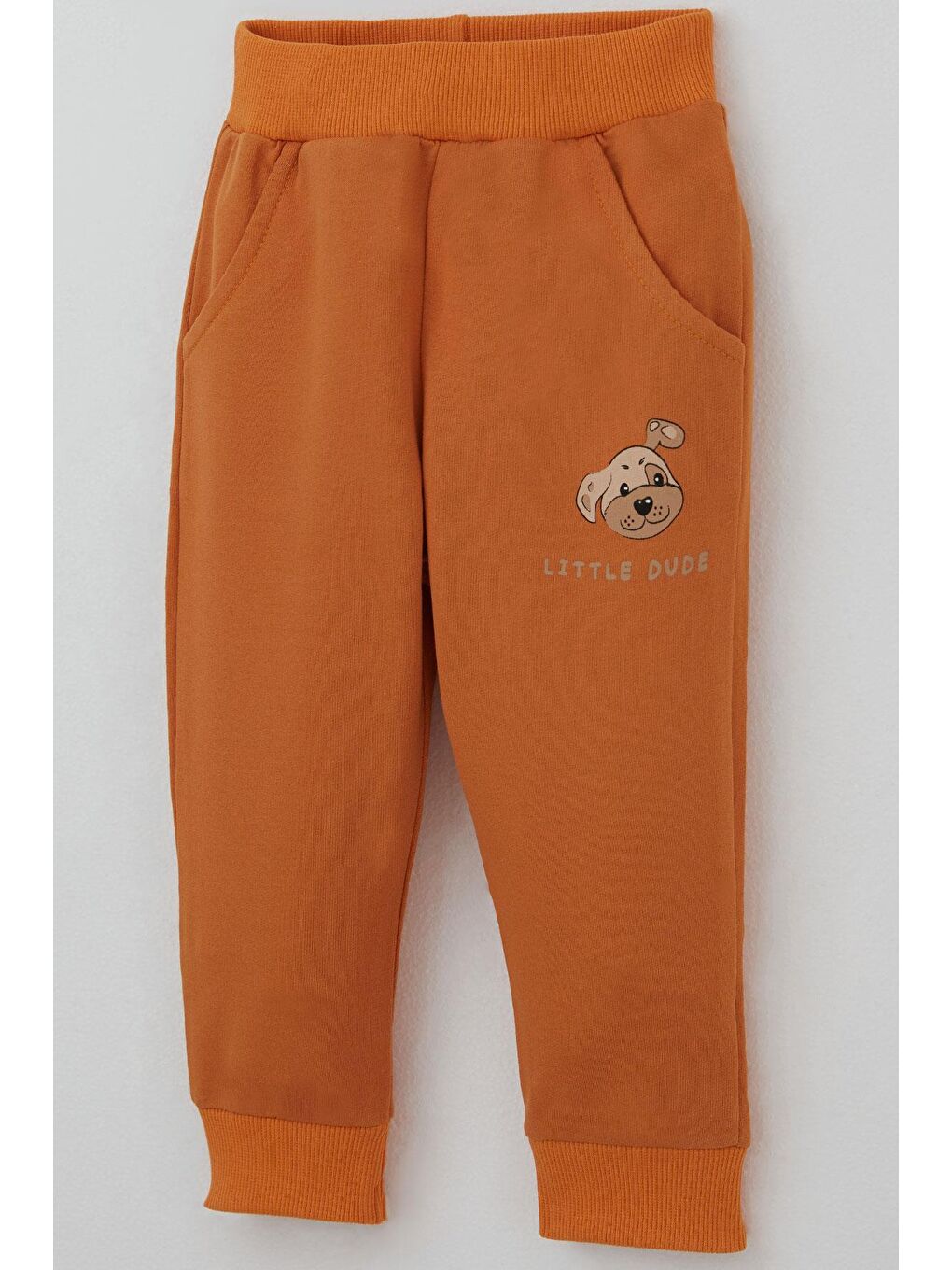 Ekru Erkek Bebek Eşofman Takımı Sevimli Köpekçik Baskılı Krem (6 Ay-2 Yaş)-6