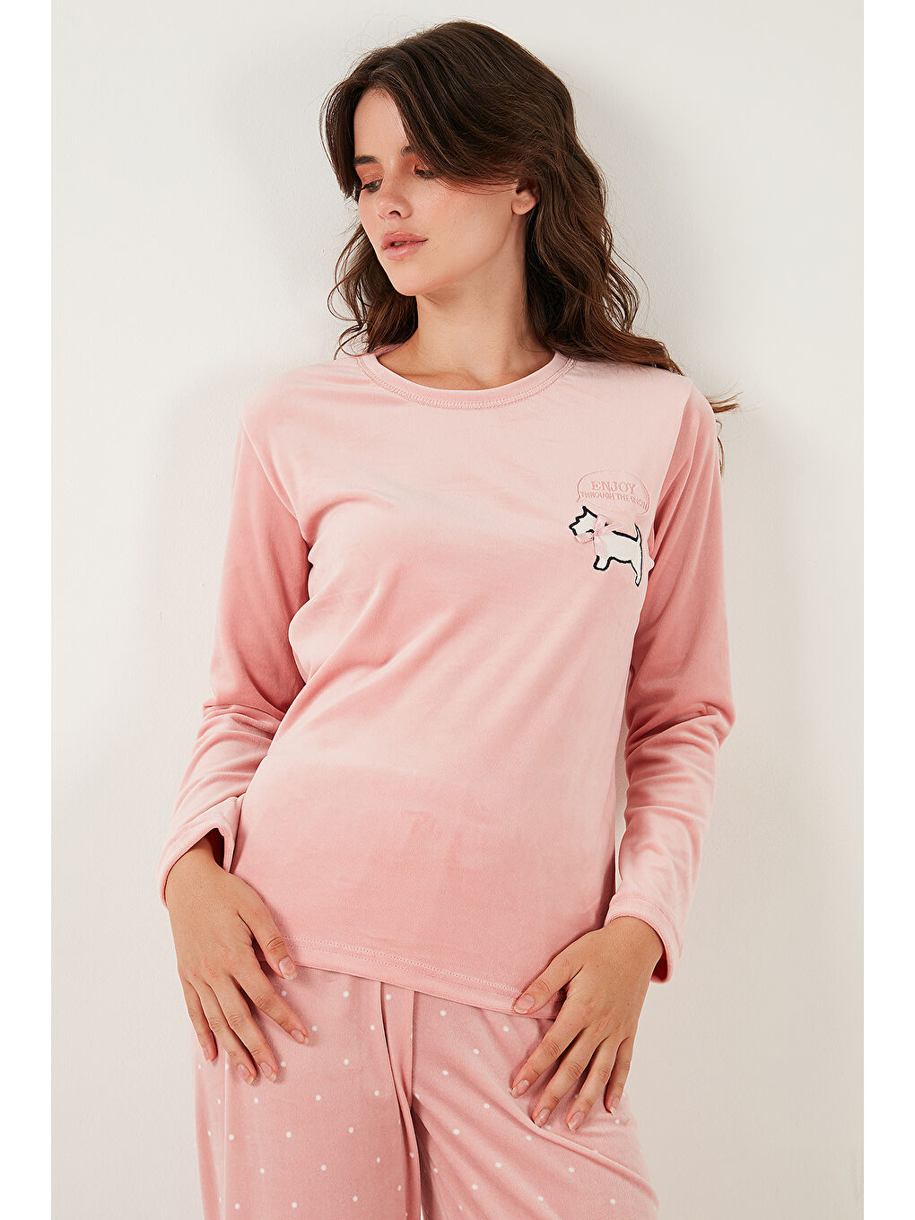 Pembe Desenli Regular Fit Bisiklet Yaka Uzun Kollu Kadın Pijama Takımı 65713312-5