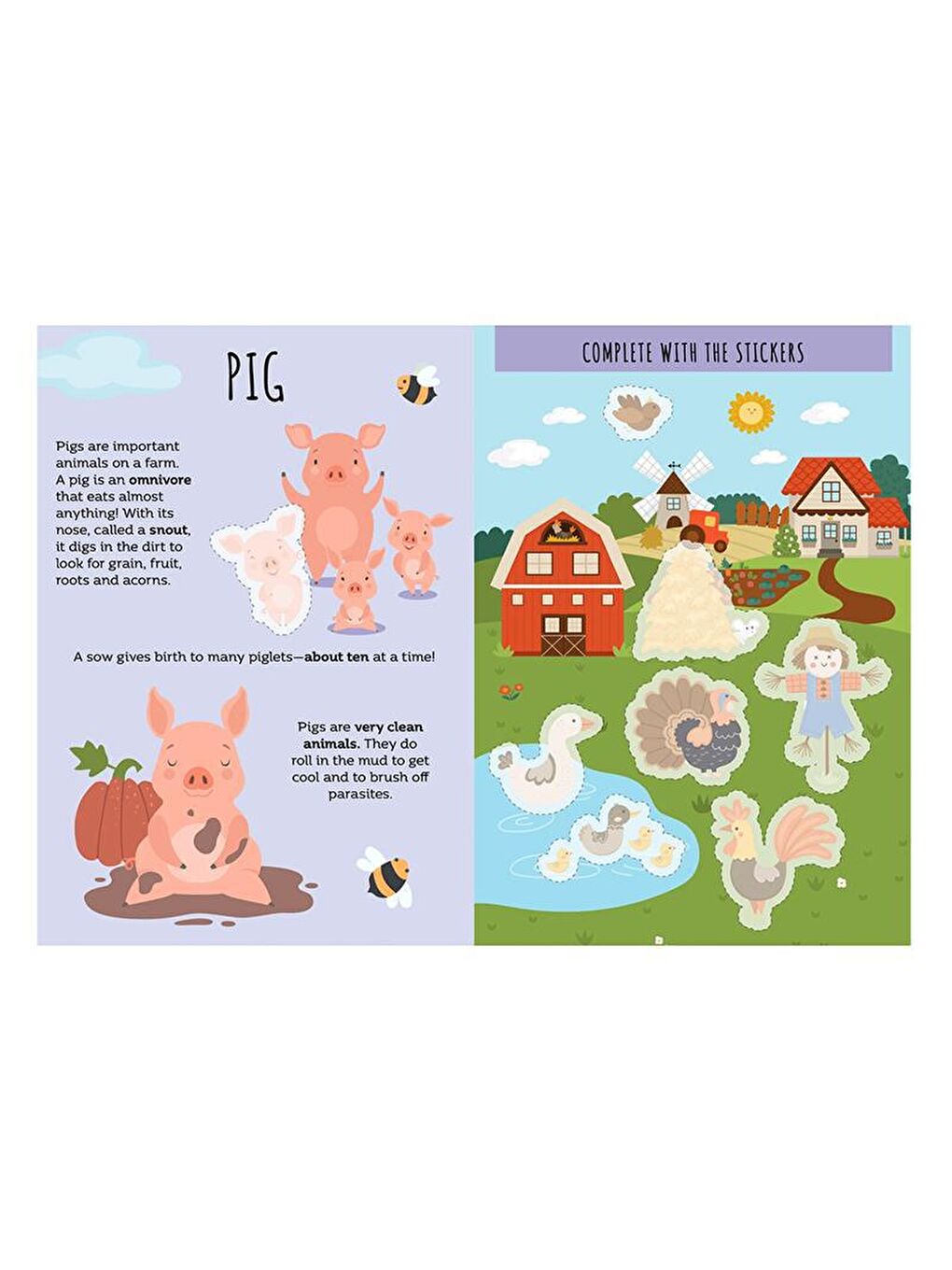 Sassi Renksiz The Farm - Sticker and Activities - 1