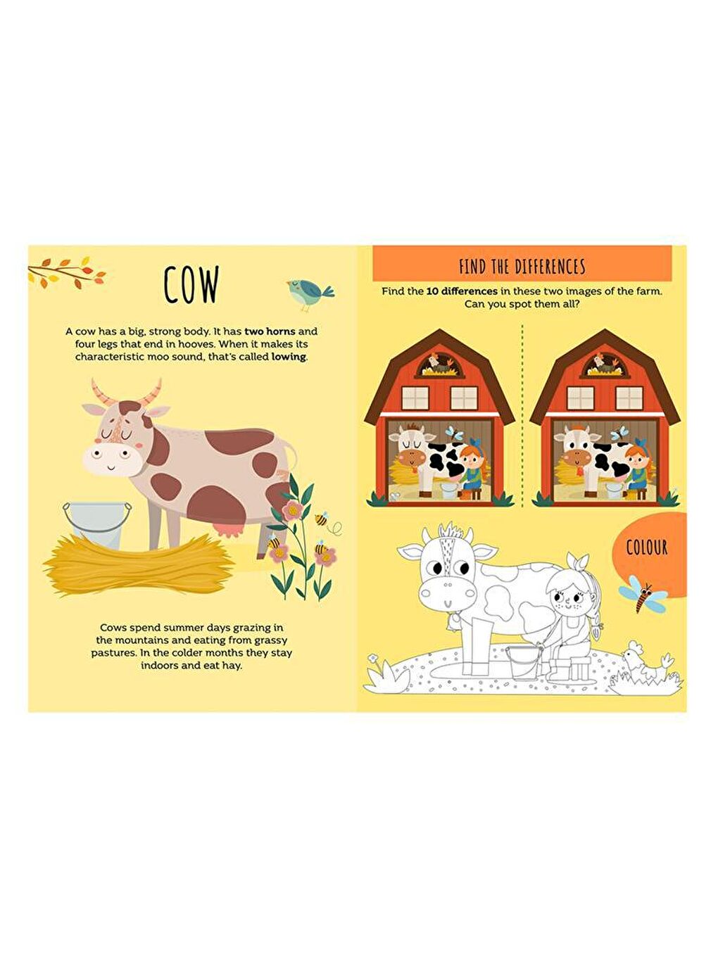 Sassi Renksiz The Farm - Sticker and Activities - 2