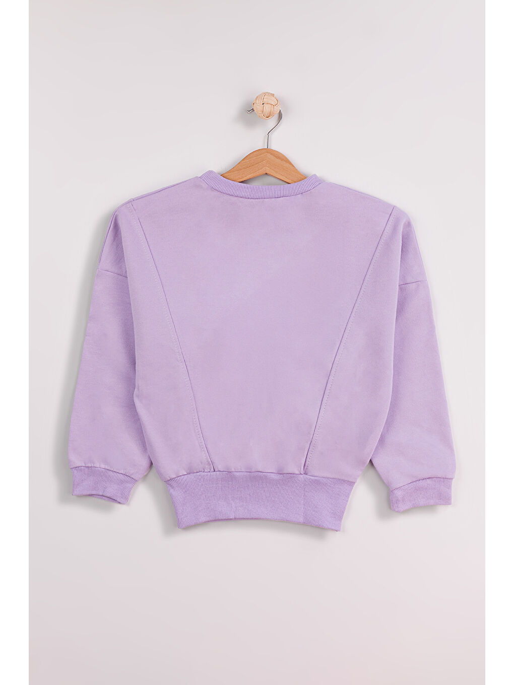 Mor Kız Çocuk Orta Kalınlıkta Baskılı 2'li Paket Sweatshirt-4