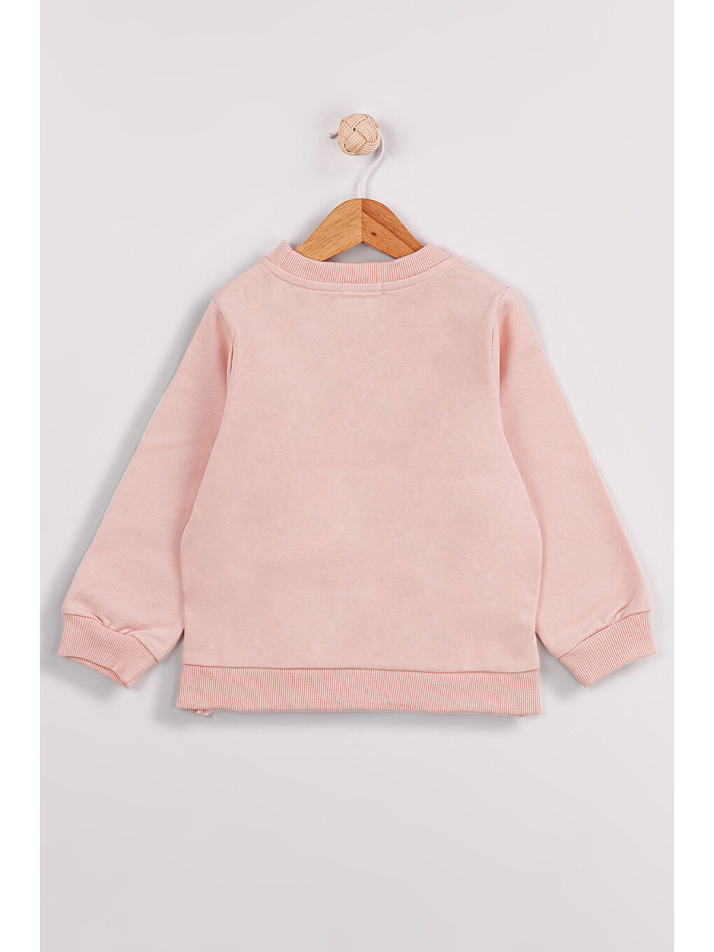 Pembe Kız Çocuk Orta Kalınlıkta Baskılı 2'li Paket Sweatshirt-2