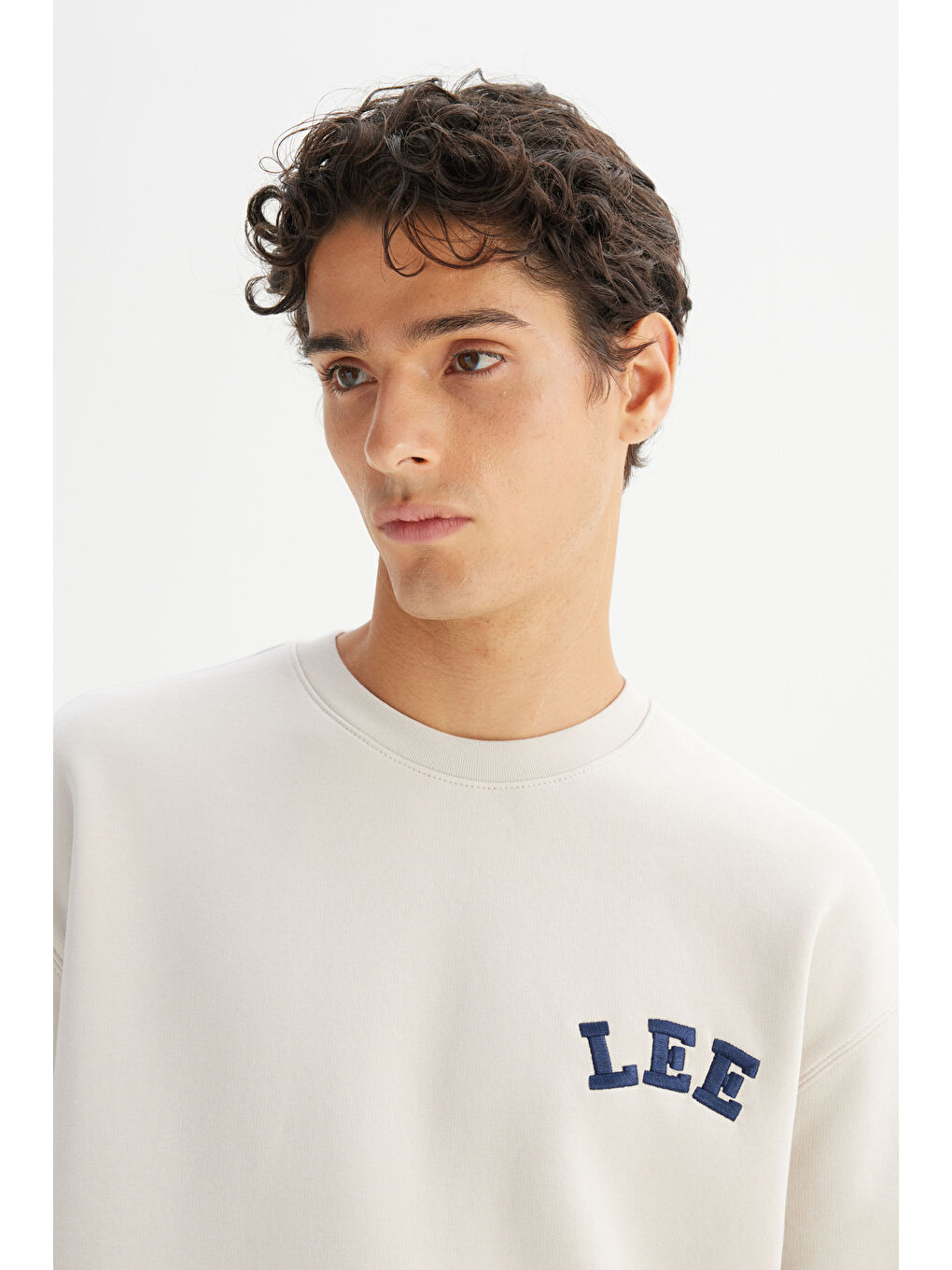 Bej Relaxed Fit Şardonlu Bisiklet Yaka Logo Detaylı Sweatshirt-3