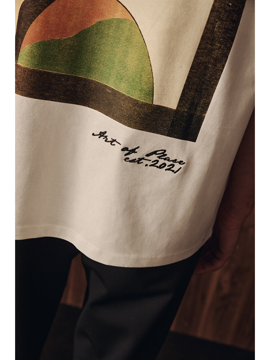 Asela Erkek Ön Ve Arkası Nakış Detaylı Kısa Kollu Beyaz T-shirt-5