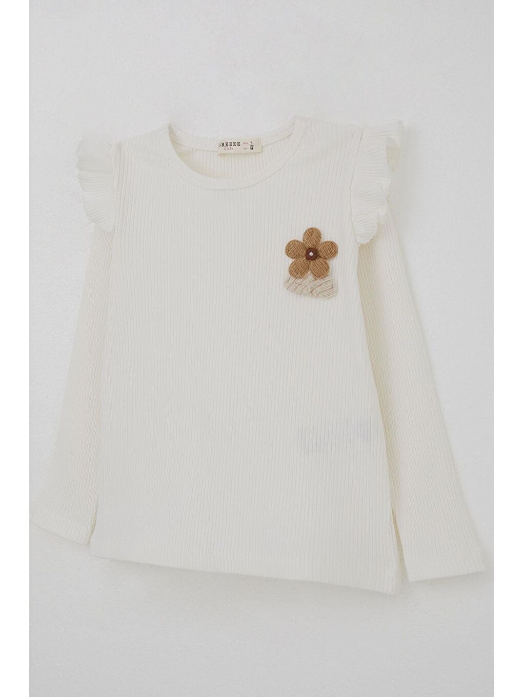 Kız Çocuk Uzun Kollu Tişört Çiçek Aksesuarlı Ekru (2-6 Yaş)-3