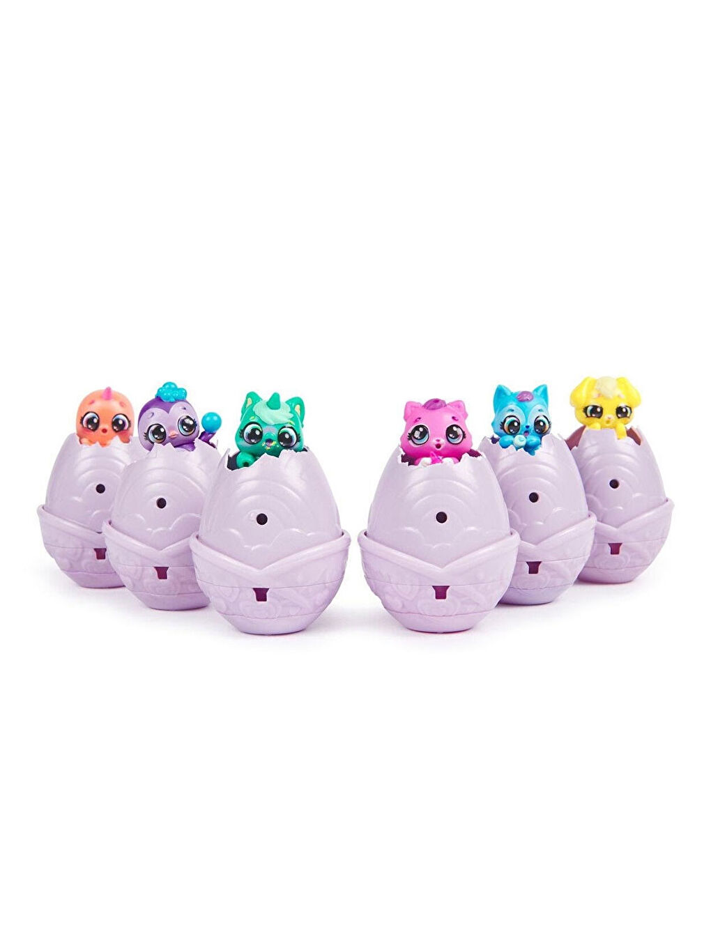 Alive Rainbow Hatchery 6070168-2