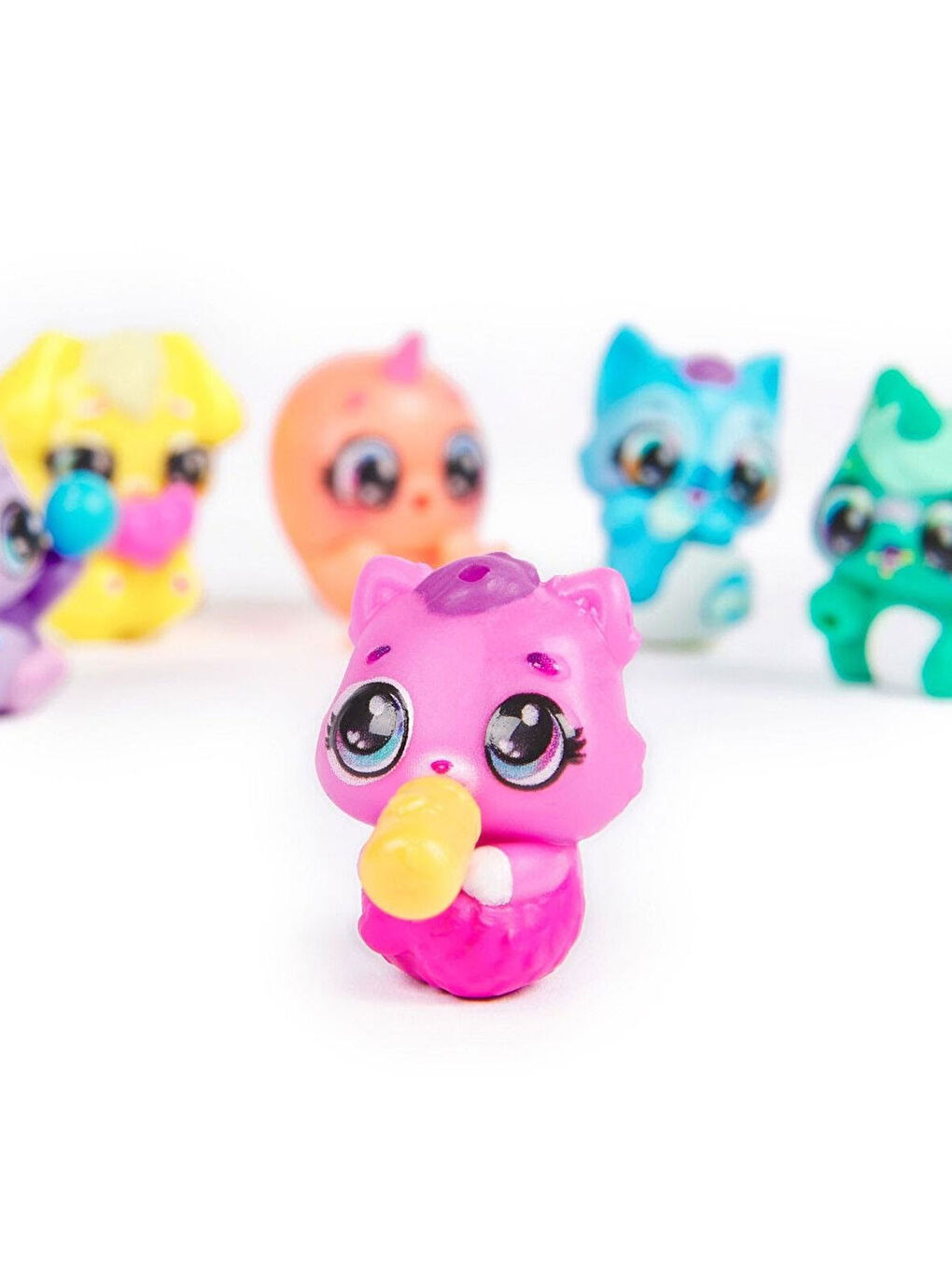 Alive Rainbow Hatchery 6070168-4