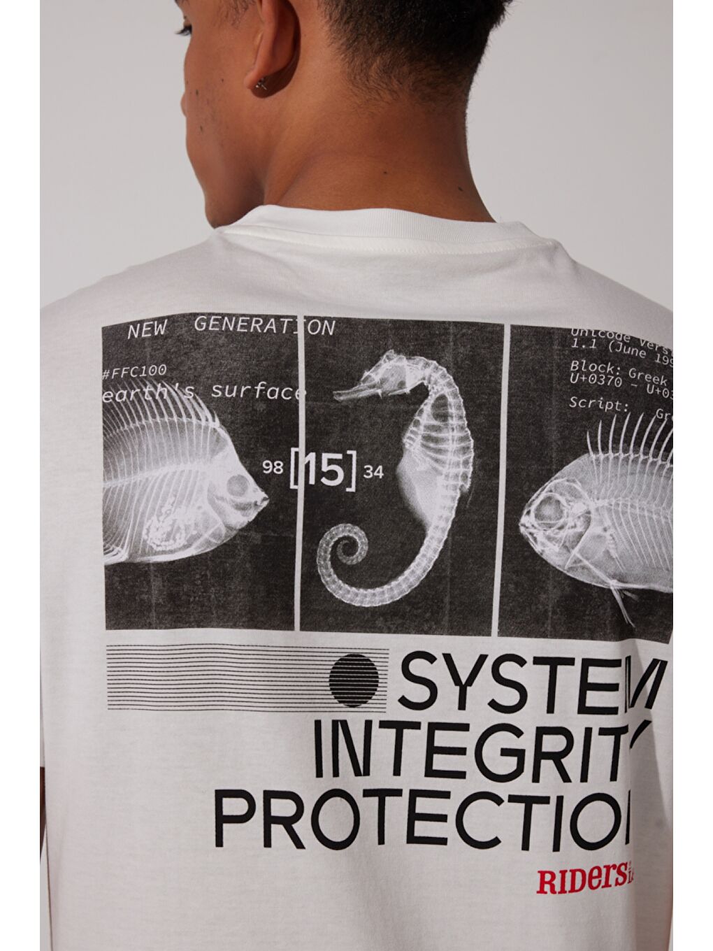 Regular Fit %100 Pamuk Bisiklet Yaka Beyaz Tişört-3