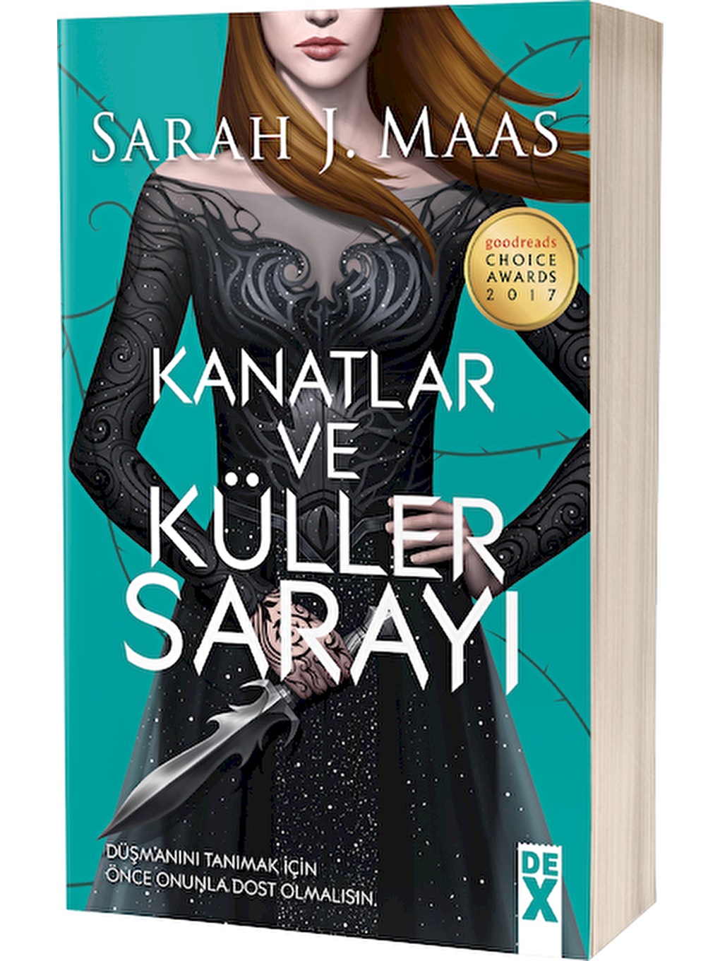 DEX Kitap Beyaz Kanatlar Ve Küller Sarayı - Sarah J. Maas