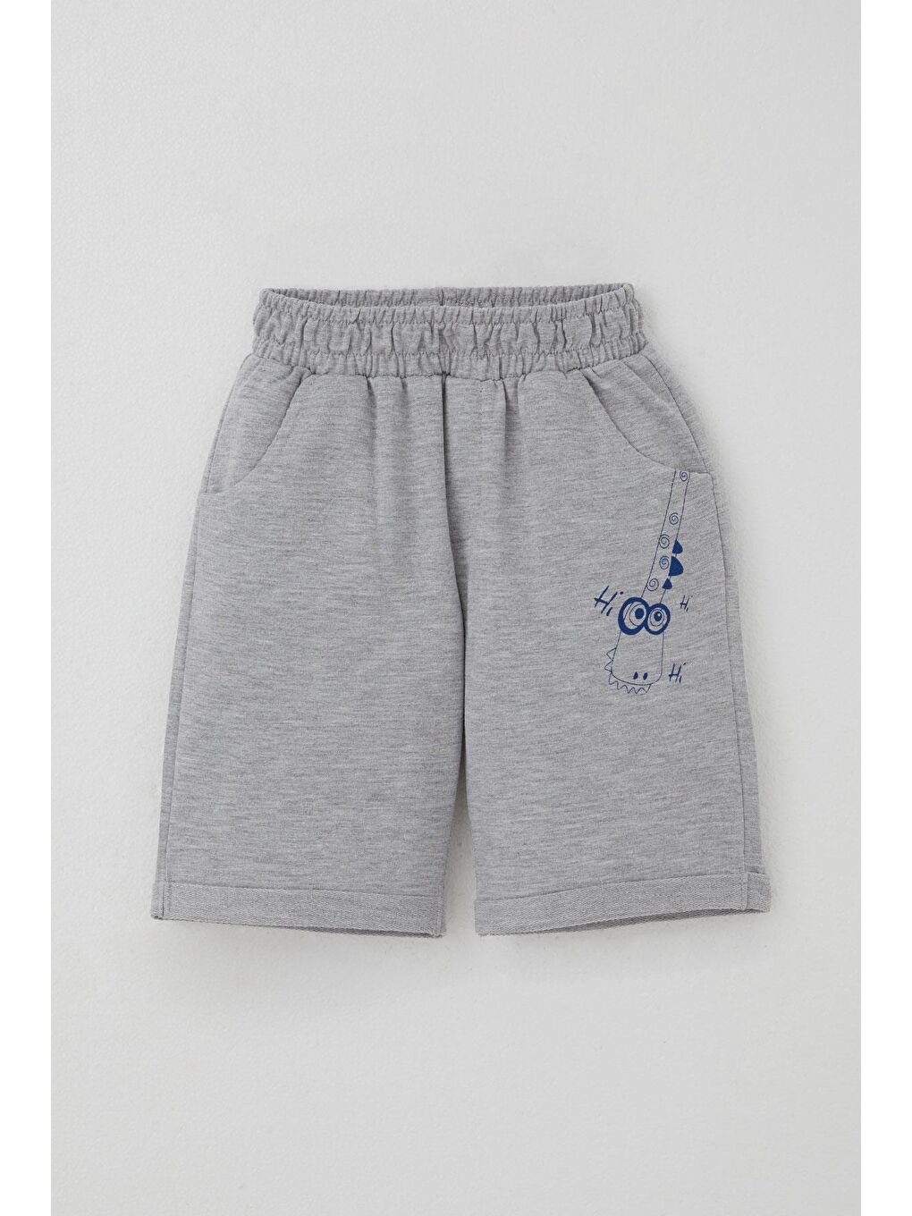 Kahverengi Erkek Çocuk Şortlu Takım Kaykaycı Dinozor Baskılı Cep Kısmı Kapak Detaylı Kiremit (2-6 Yaş)-10