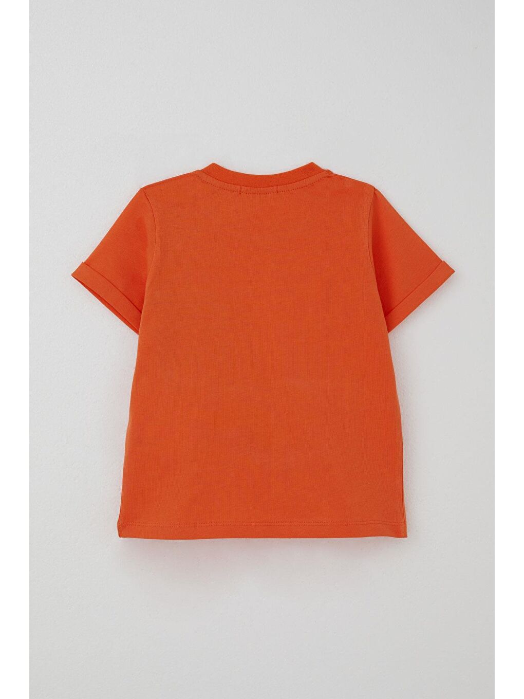 Kahverengi Erkek Çocuk Şortlu Takım Kaykaycı Dinozor Baskılı Cep Kısmı Kapak Detaylı Kiremit (2-6 Yaş)-11