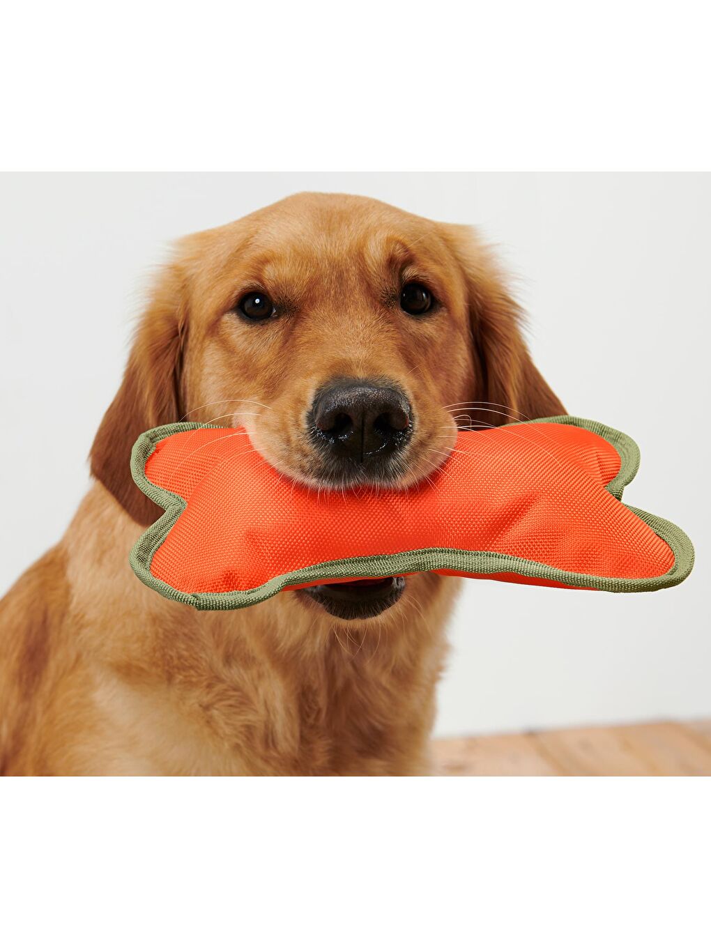 Köpekler İçin Oyuncak Kemik, Geri Dön. PES-1