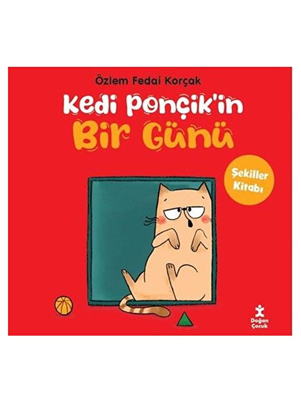 Doğan Çocuk Renksiz Kedi Ponçik in Bir Günü Şekiller Kitabı Özlem Fedai Korçak