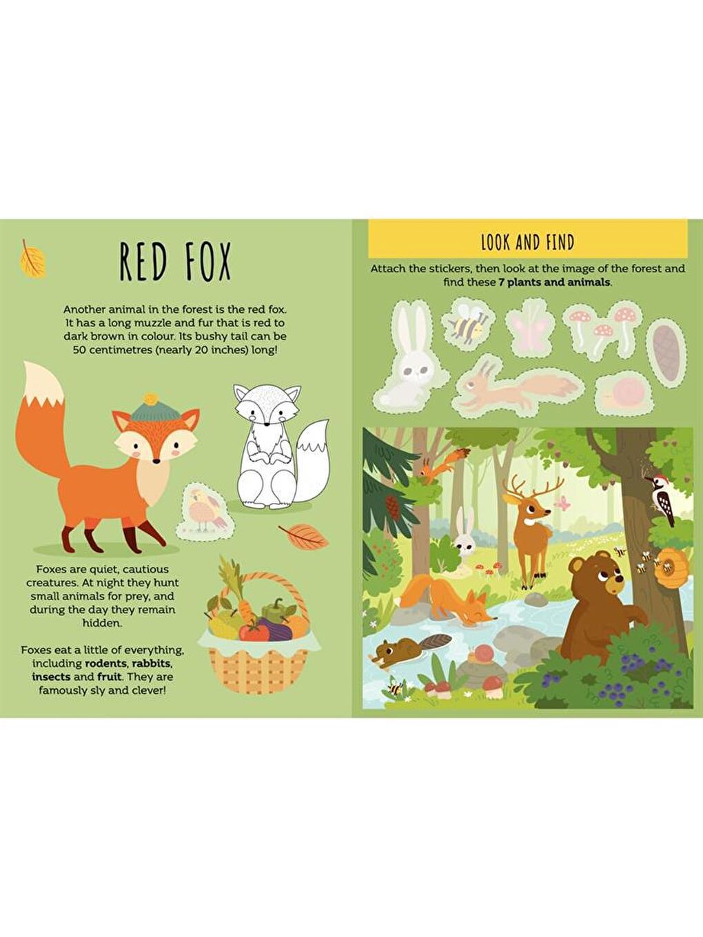 Sassi Renksiz The Forest - Sticker and Activities - 1