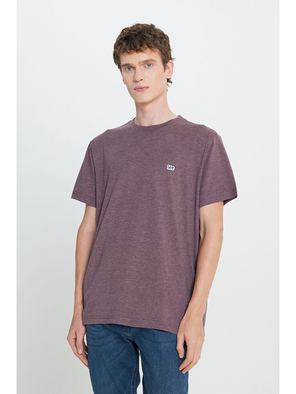 Regular Fit Normal Kesim Bisiklet Yaka Bordo Tişört-1