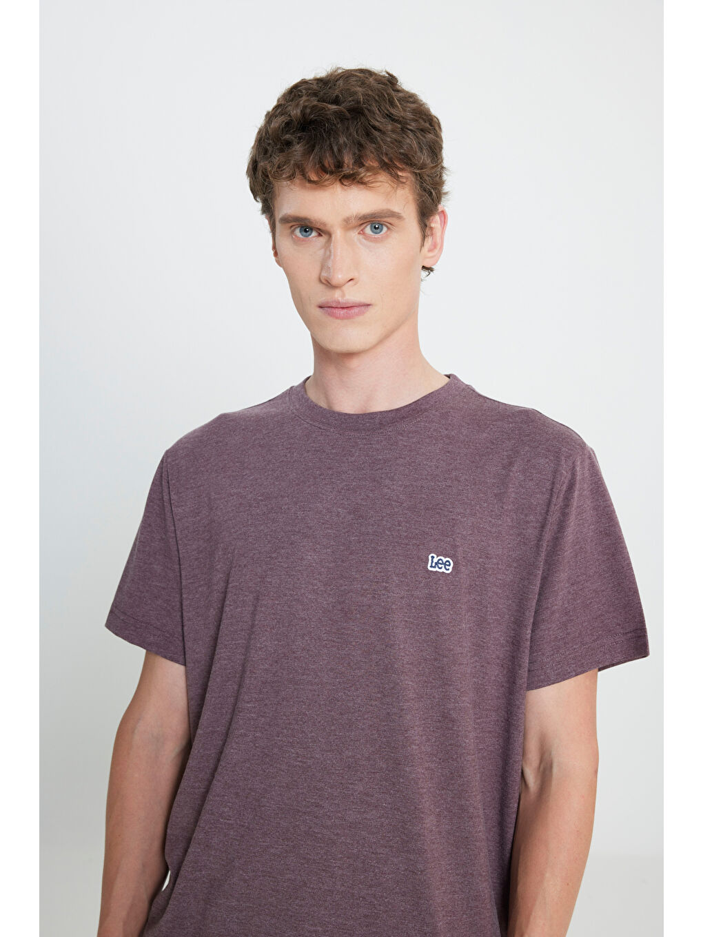 Regular Fit Normal Kesim Bisiklet Yaka Bordo Tişört-3