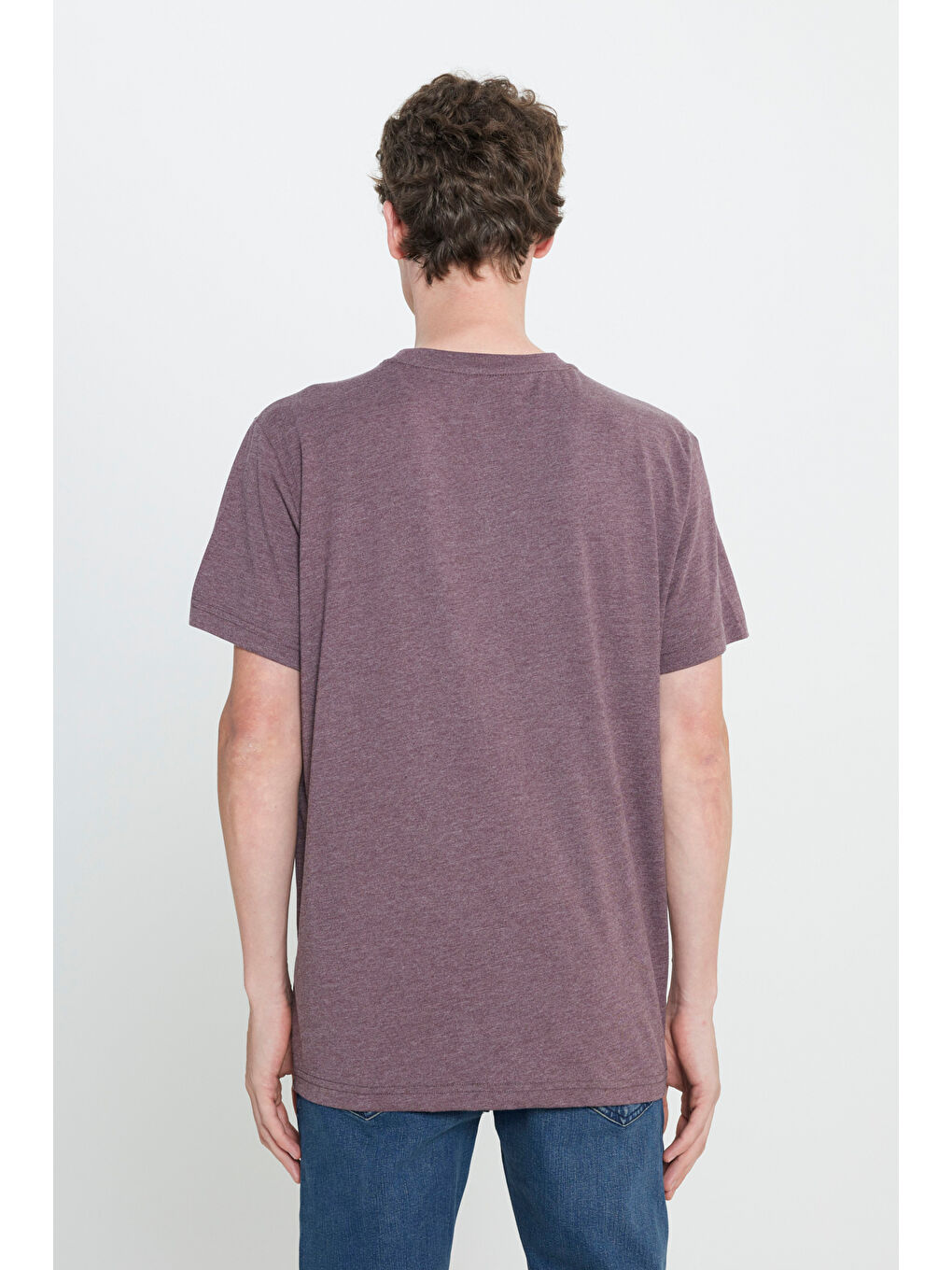 Regular Fit Normal Kesim Bisiklet Yaka Bordo Tişört-4