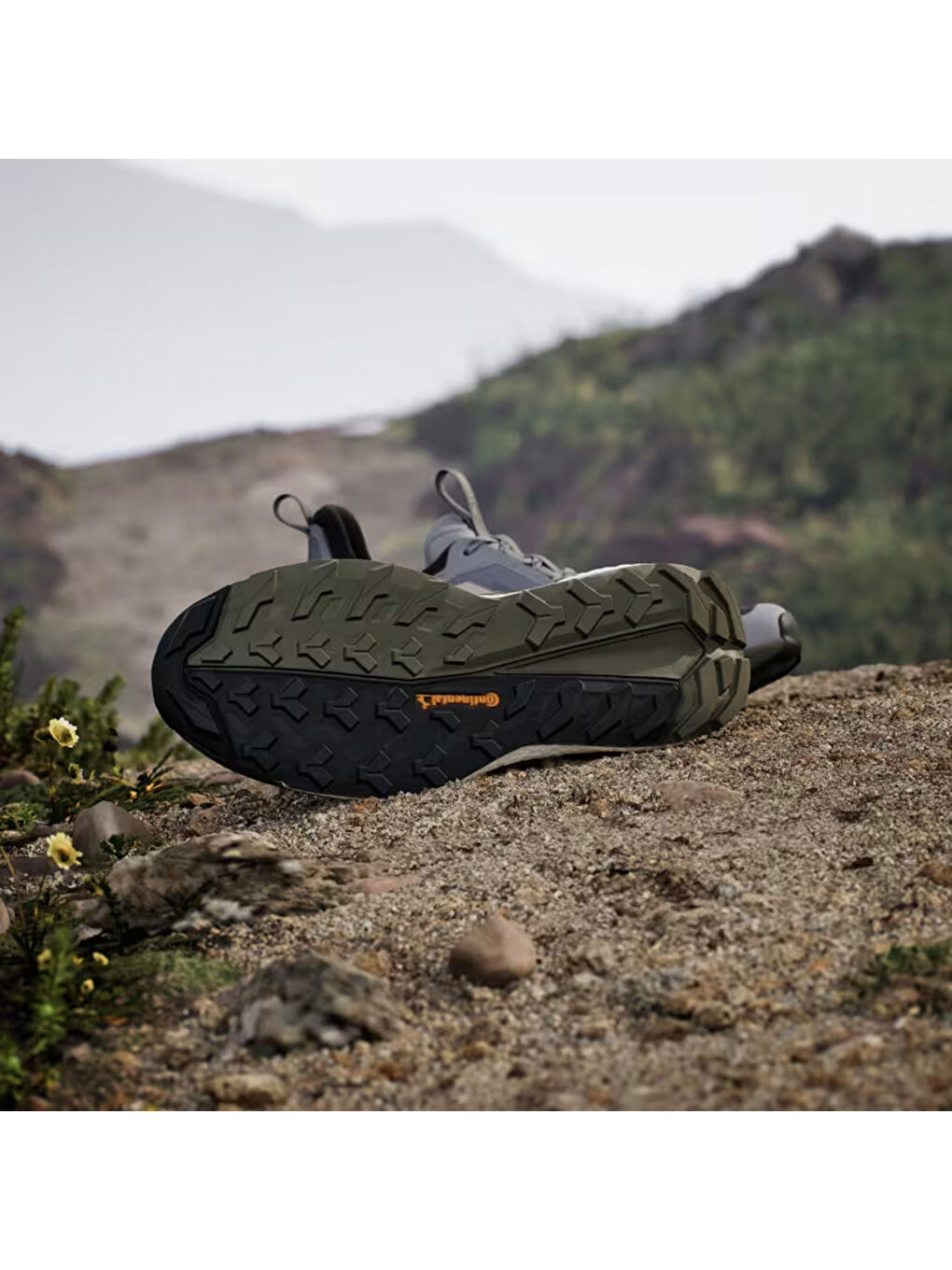 Terrex Free Hiker 2 Low Erkek Gri Outdoor Ayakkabı-2