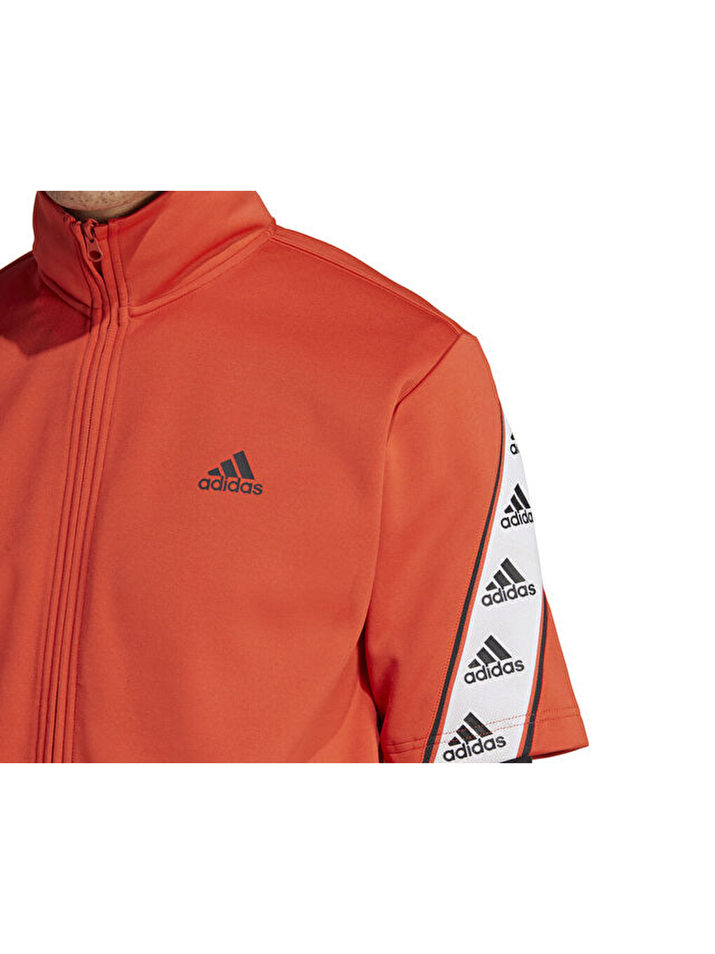 M Short Ts Tt Erkek Günlük Kısa Kollu Ceket Ib8414 Turuncu-3