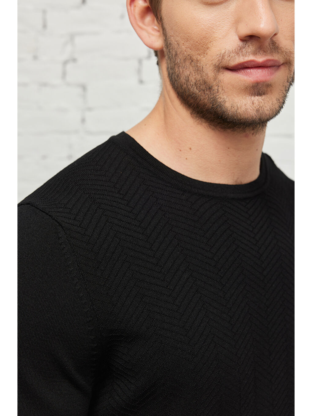 Erkek Siyah Standart Fit Normal Kesim Bisiklet Yaka Kısa Kollu Jakarlı Triko Tişört-3