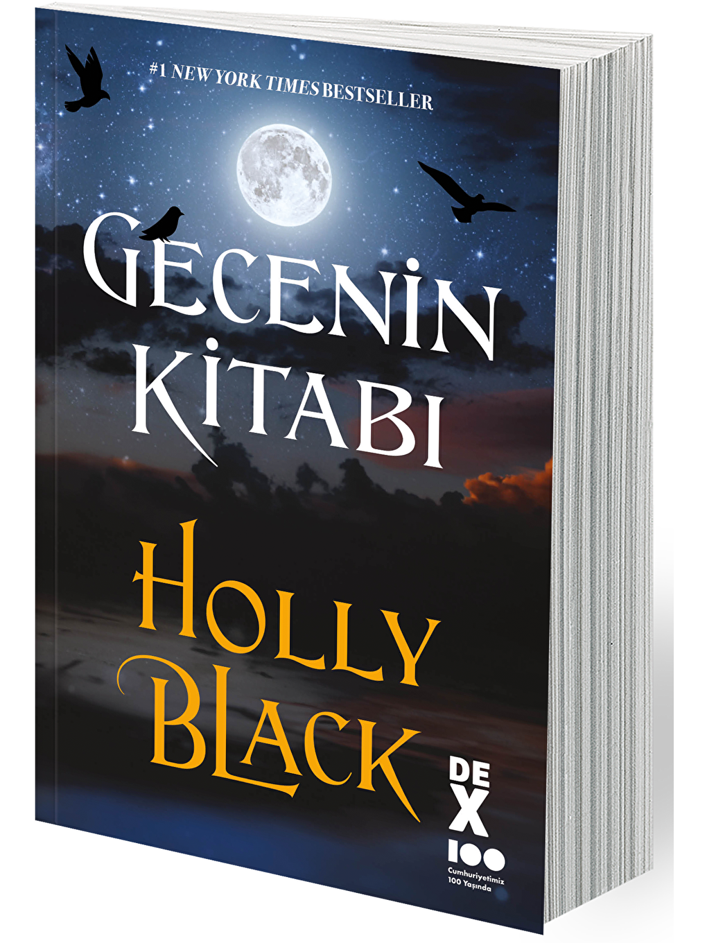 DEX Kitap Beyaz Gecenin Kitabı - Holly Black