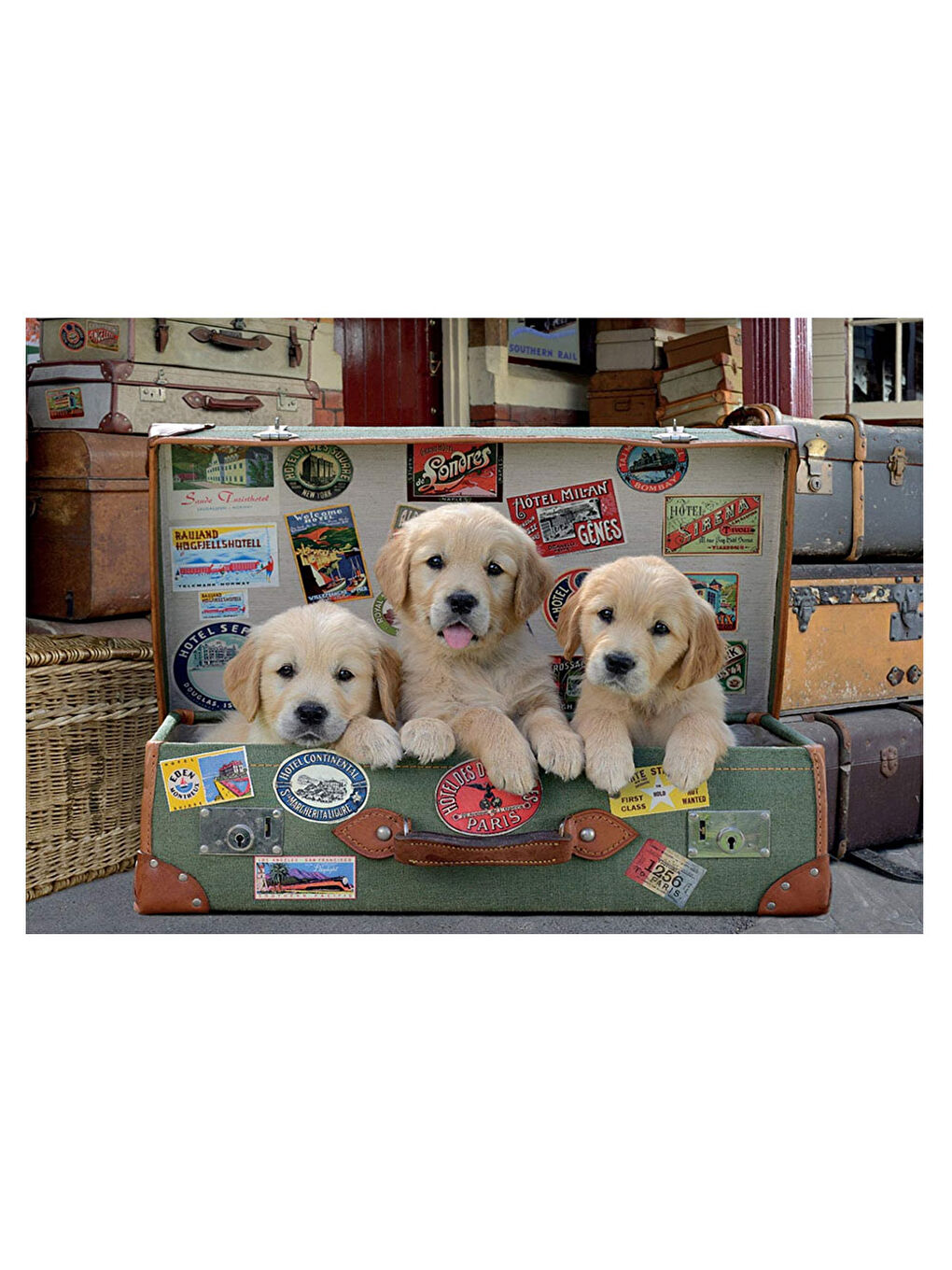 Puzzle 500 Parça Bavuldaki Yavrular 17645-1