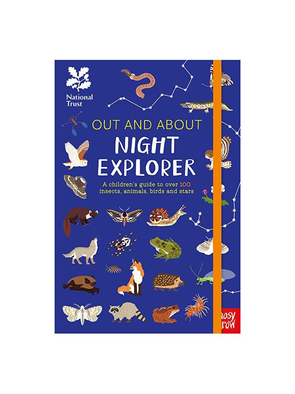 Nosy Crow Renksiz Out and About Night Explorer