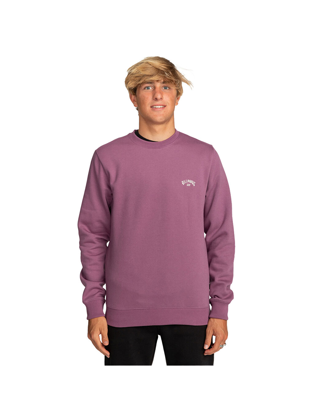 Arch Cr Erkek Mor Sweatshirt-1