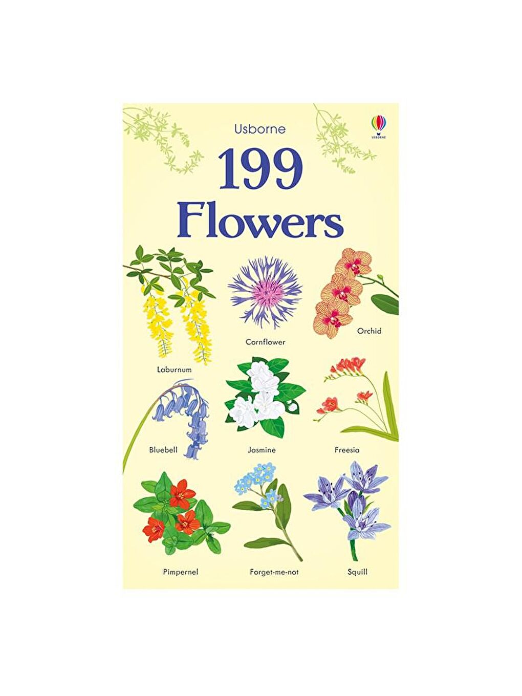 Usborne Renksiz 199 Flowers