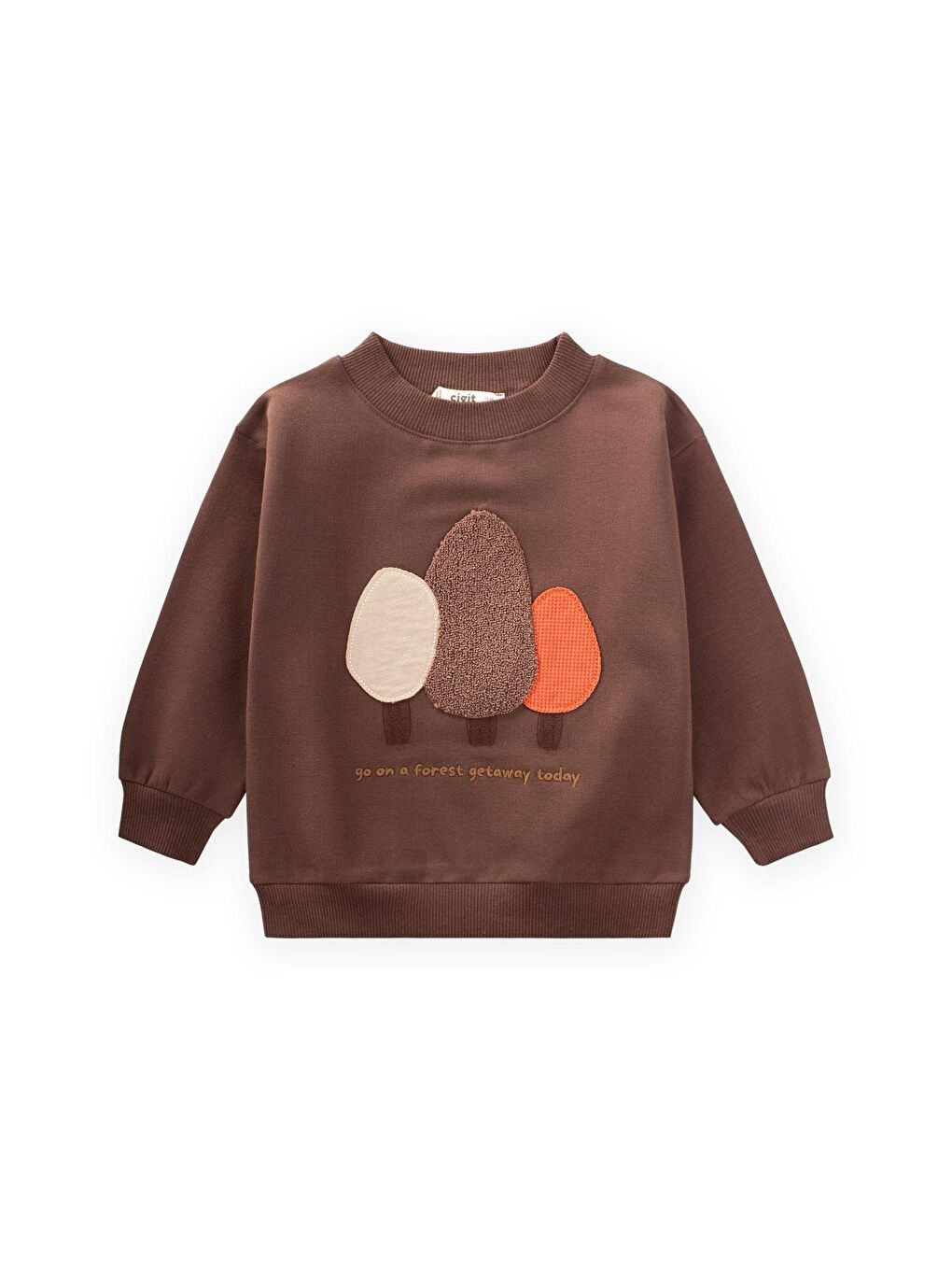 Kahverengi Süzene Nakışlı Sweatshirt 1-7 Yaş Kahve