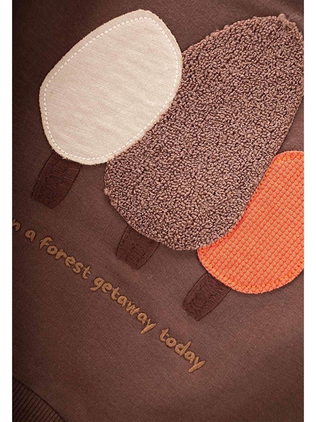 Kahverengi Süzene Nakışlı Sweatshirt 1-7 Yaş Kahve-2