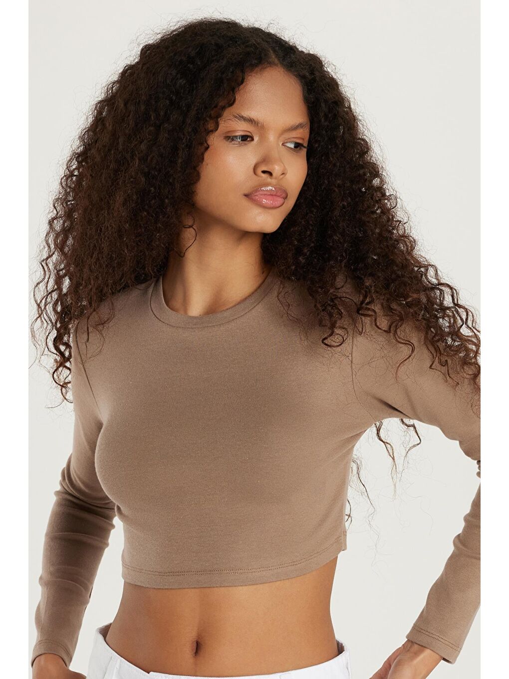 Kahverengi Kadın Slim Fit Modal Kumaş Pamuklu Bisiklet Yaka Vizon Bluz-1