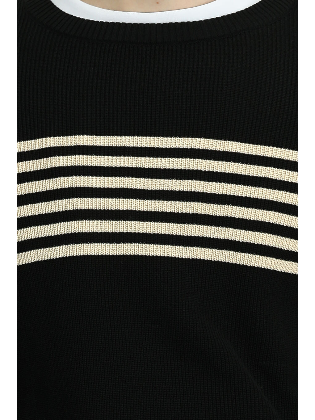 Siyah Bisiklet Yaka Regular Fit Çizgili Triko Kazak-6