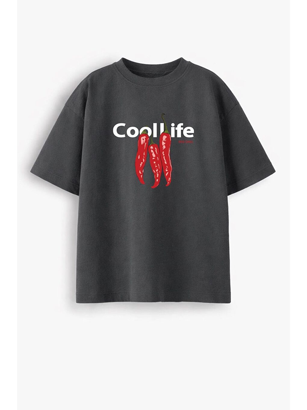 Antrasit Kadın Premium Kumaş Baskılı Oversize T-Shirt-1