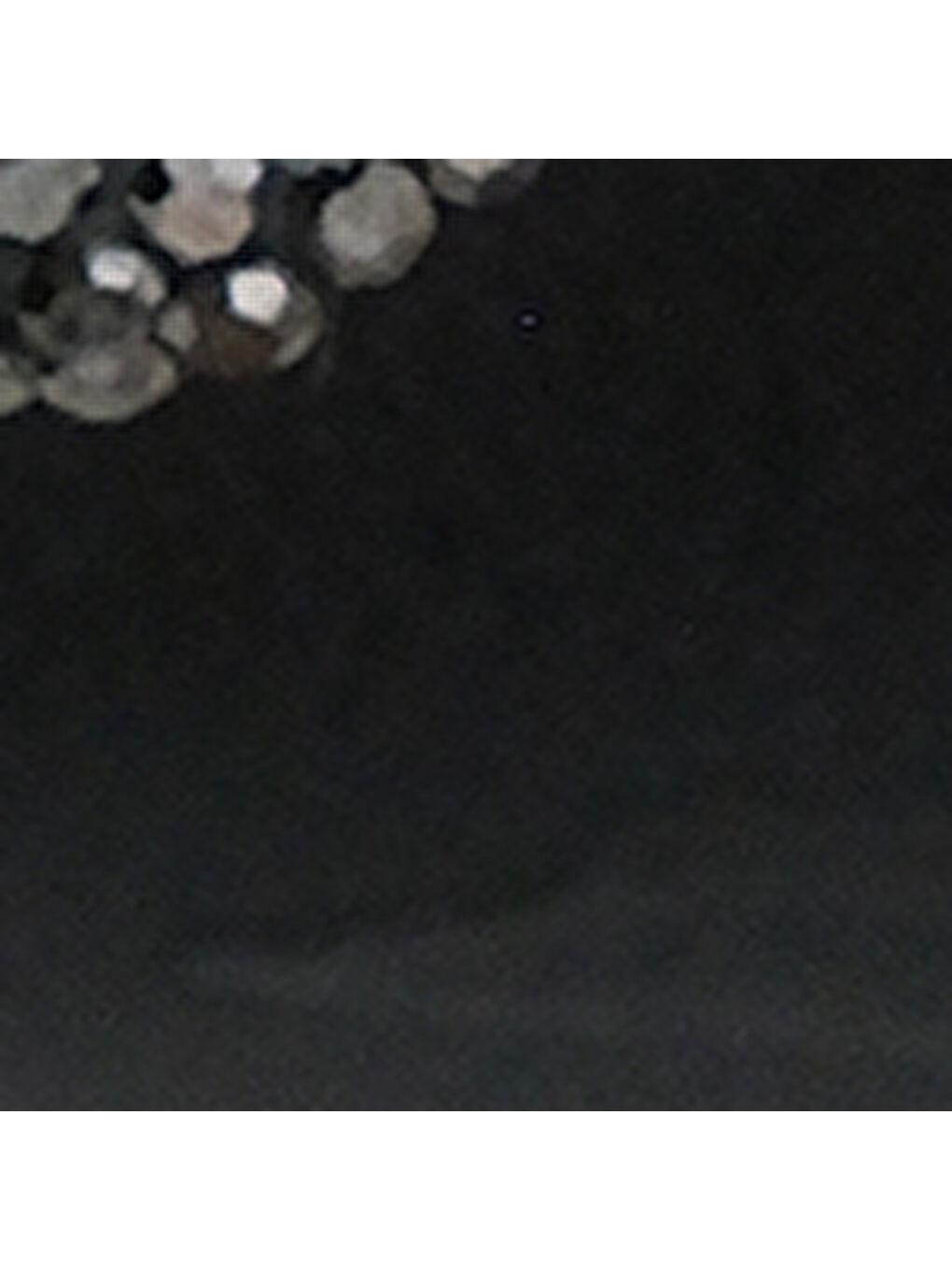 Siyah Audrey Yuvarlak Burunlu Taşlı Çiçekli Kadın Babet-6