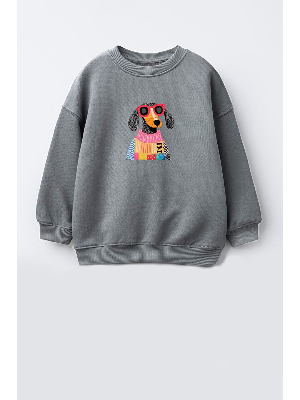 Antrasit Unisex Çocuk 3 İplik Kumaş Köpek Baskılı Pamuklu Sweatshirt