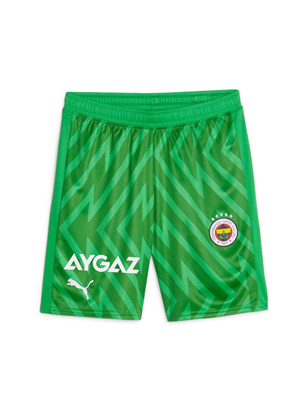 Yeşil Fenerbahçe S.K. Erkek Kaleci Şort-5