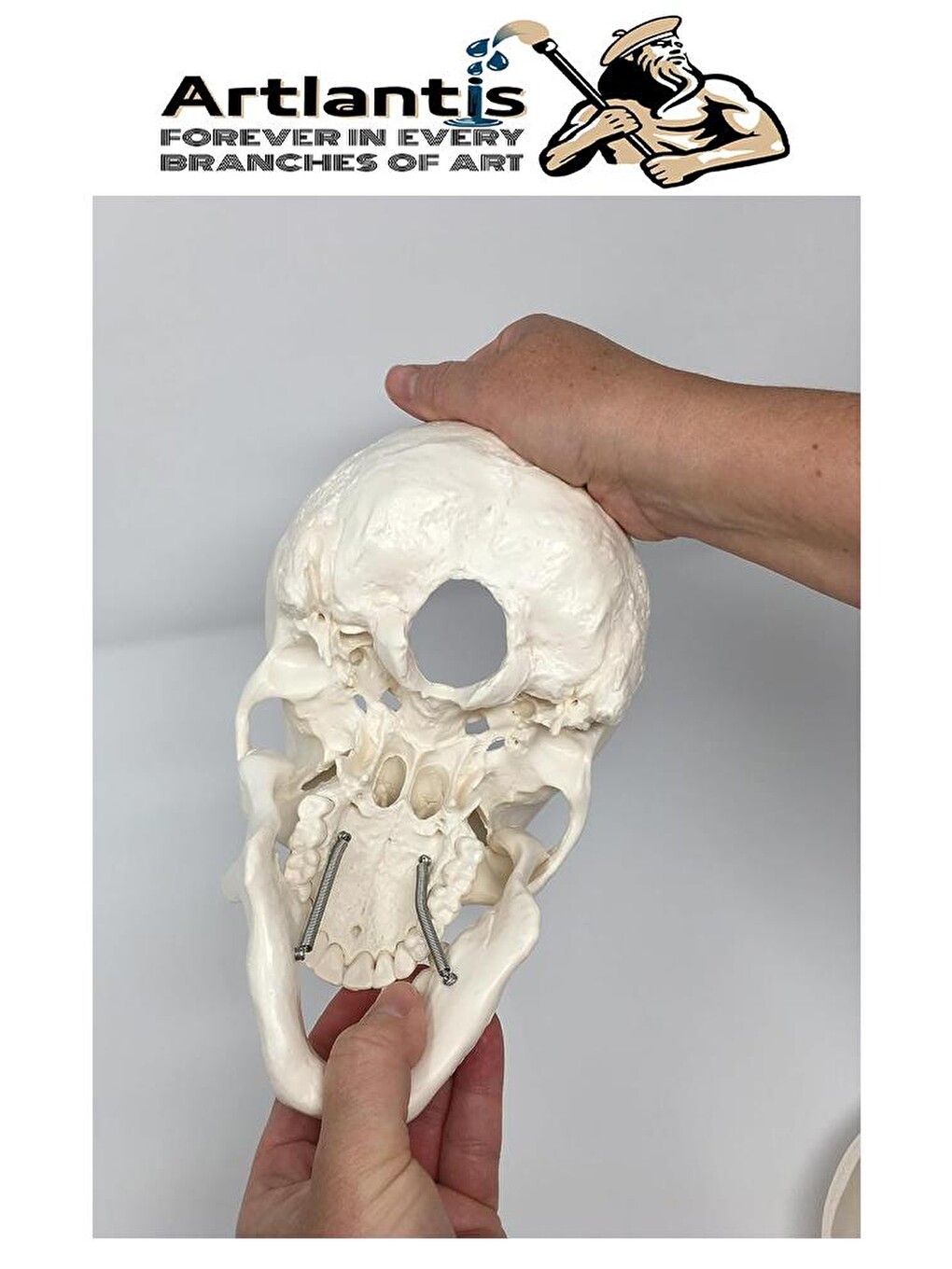 İnsan Kafatası Anatomisi Modeli 1 Adet Kafatası Maketi Gerçek Boyut Anatomik Modeli Deney Bilim Tıbb-3