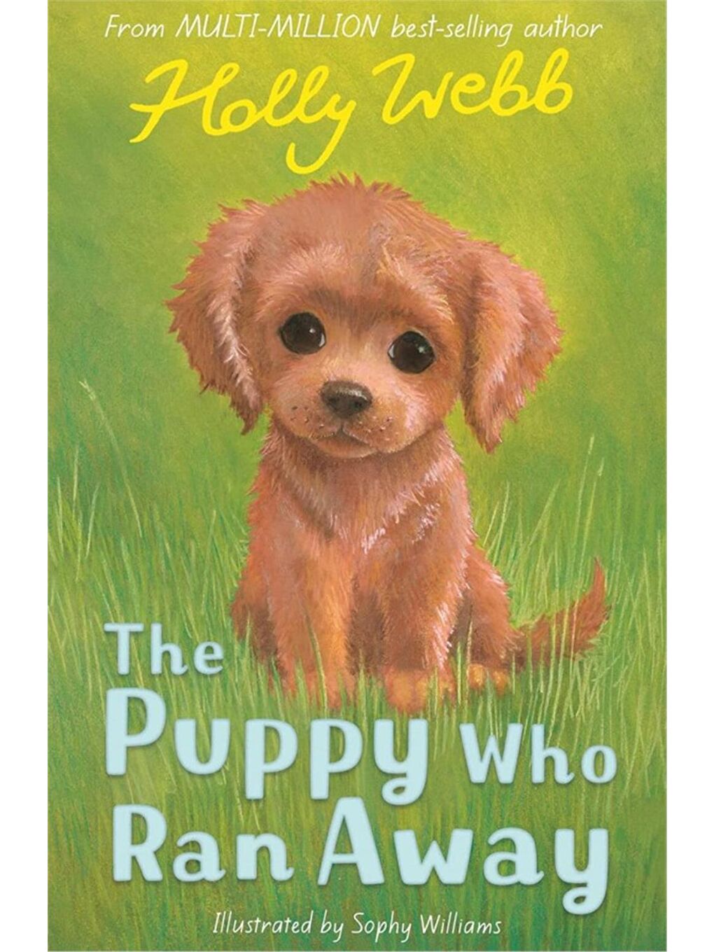 Holly Webb Animal Stories: The Puppy Who Ran Away