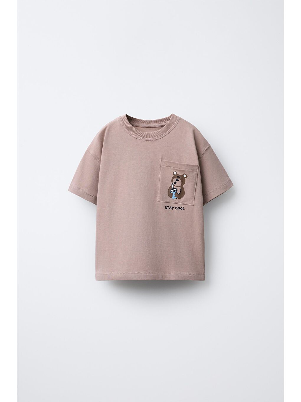 Karışık Erkek Çocuk Pamuklu Ayıcık Cepli T-Shirt Ve Çizgili Eşofman Takım-1