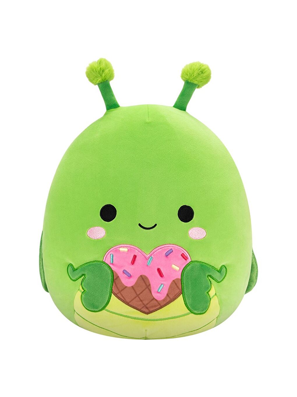 Peygamberdevesi Trenton 30cm VA01257