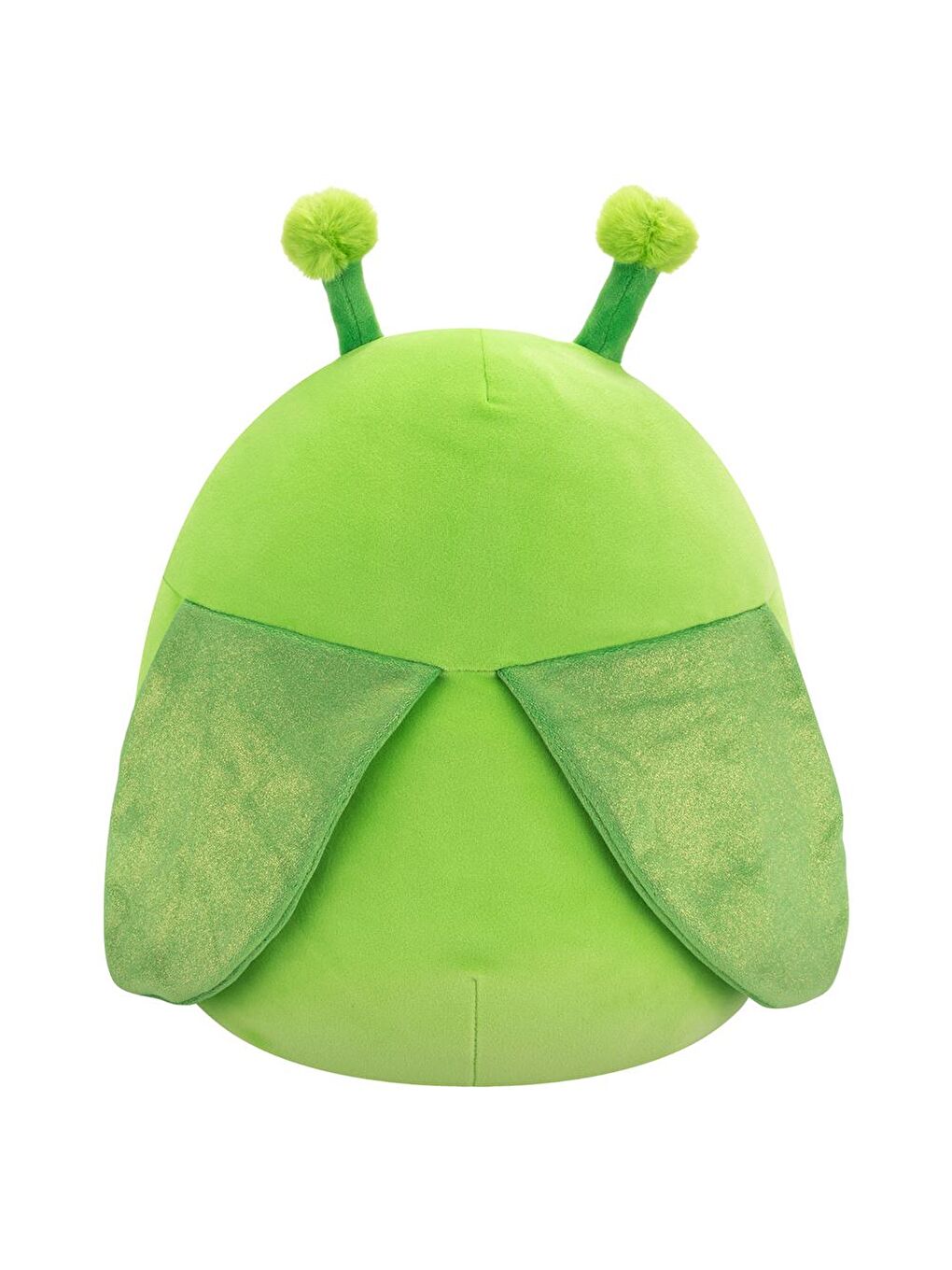 Peygamberdevesi Trenton 30cm VA01257-3